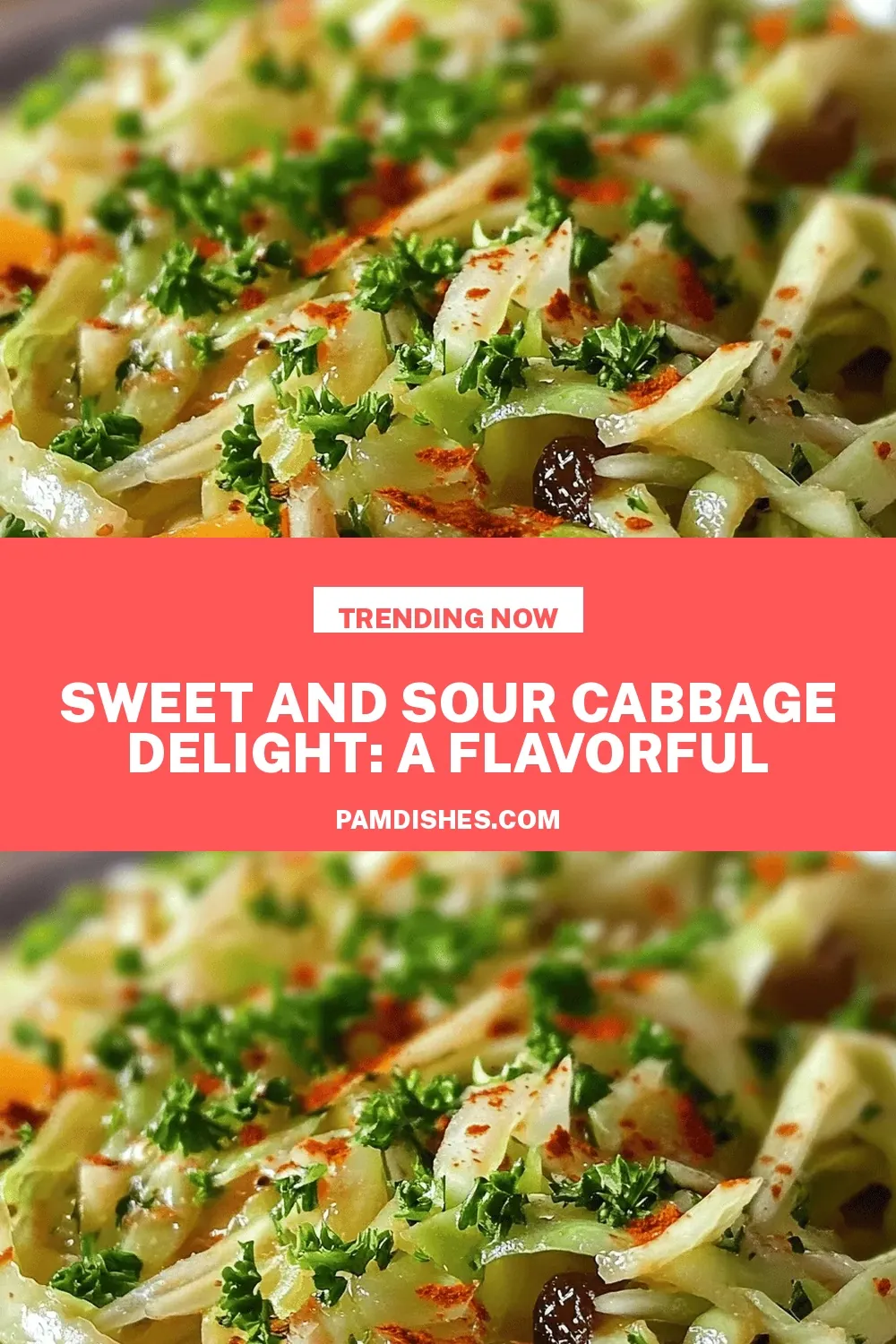 Sweet and Sour Cabbage Delight: A Flavorful Recipe to Savor