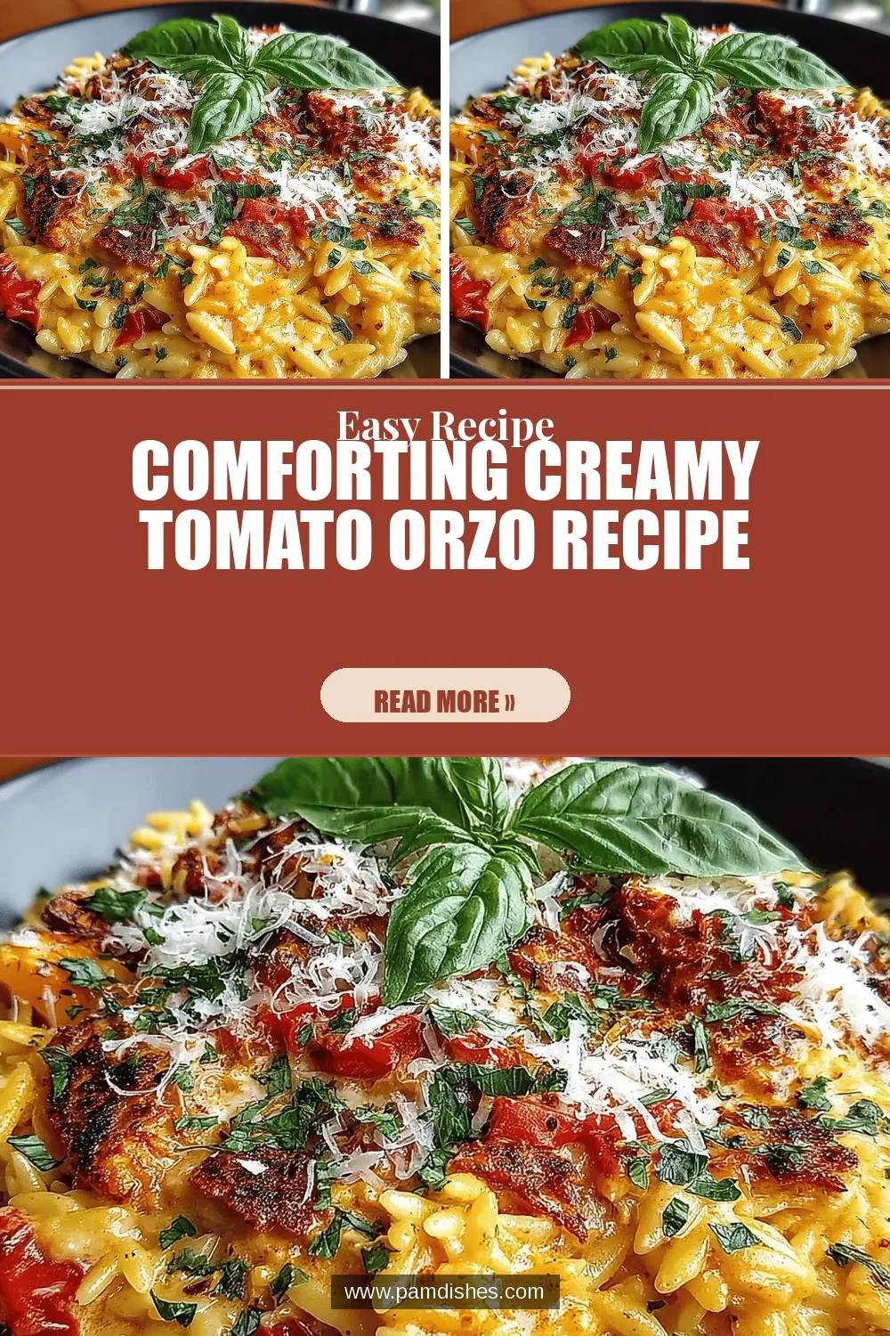 Comforting Creamy Tomato Orzo Recipe
