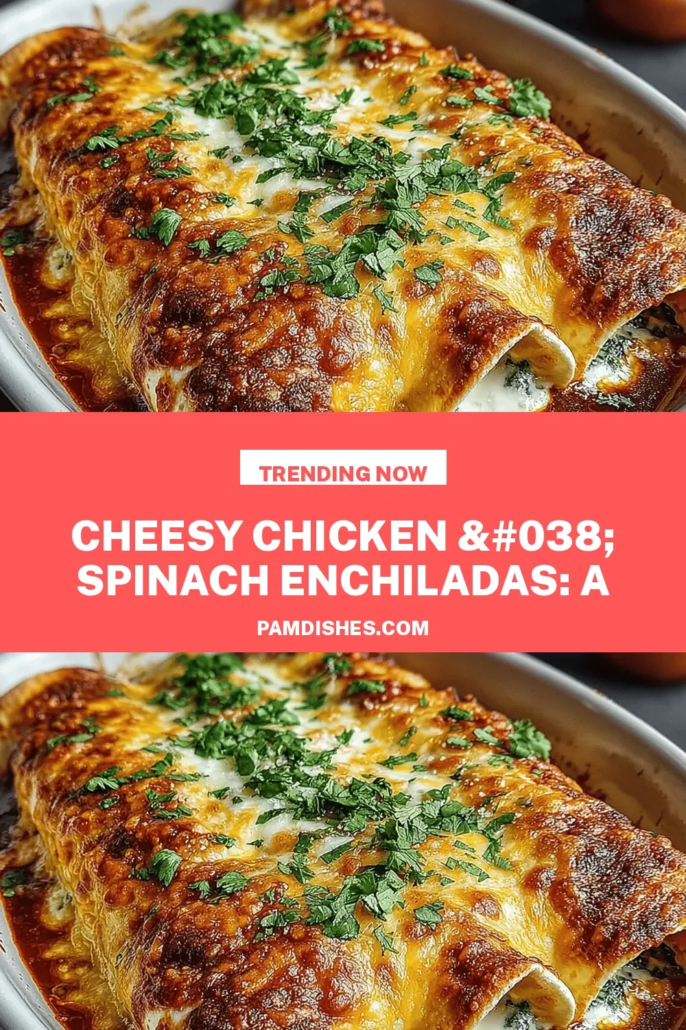 Cheesy Chicken & Spinach Enchiladas: A Comforting Favorite