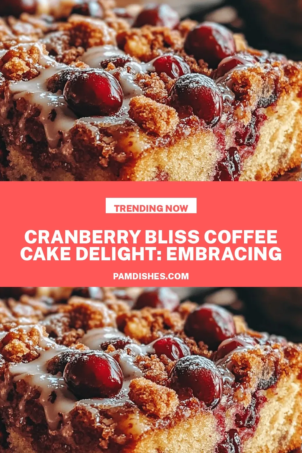 Cranberry Bliss Coffee Cake Delight: Embracing the Joy of Baking