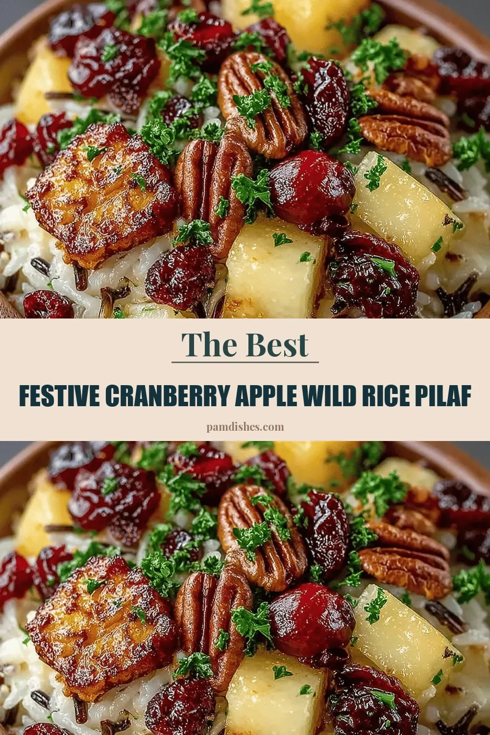 Festive Cranberry Apple Wild Rice Pilaf