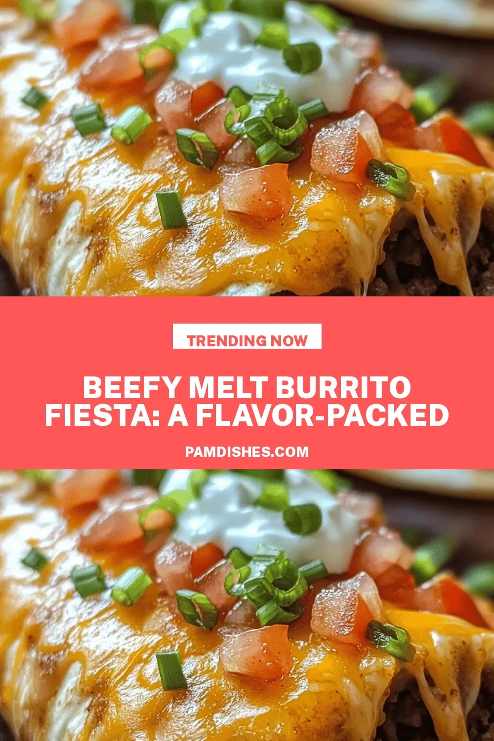 Beefy Melt Burrito Fiesta: A Flavor-packed Delight