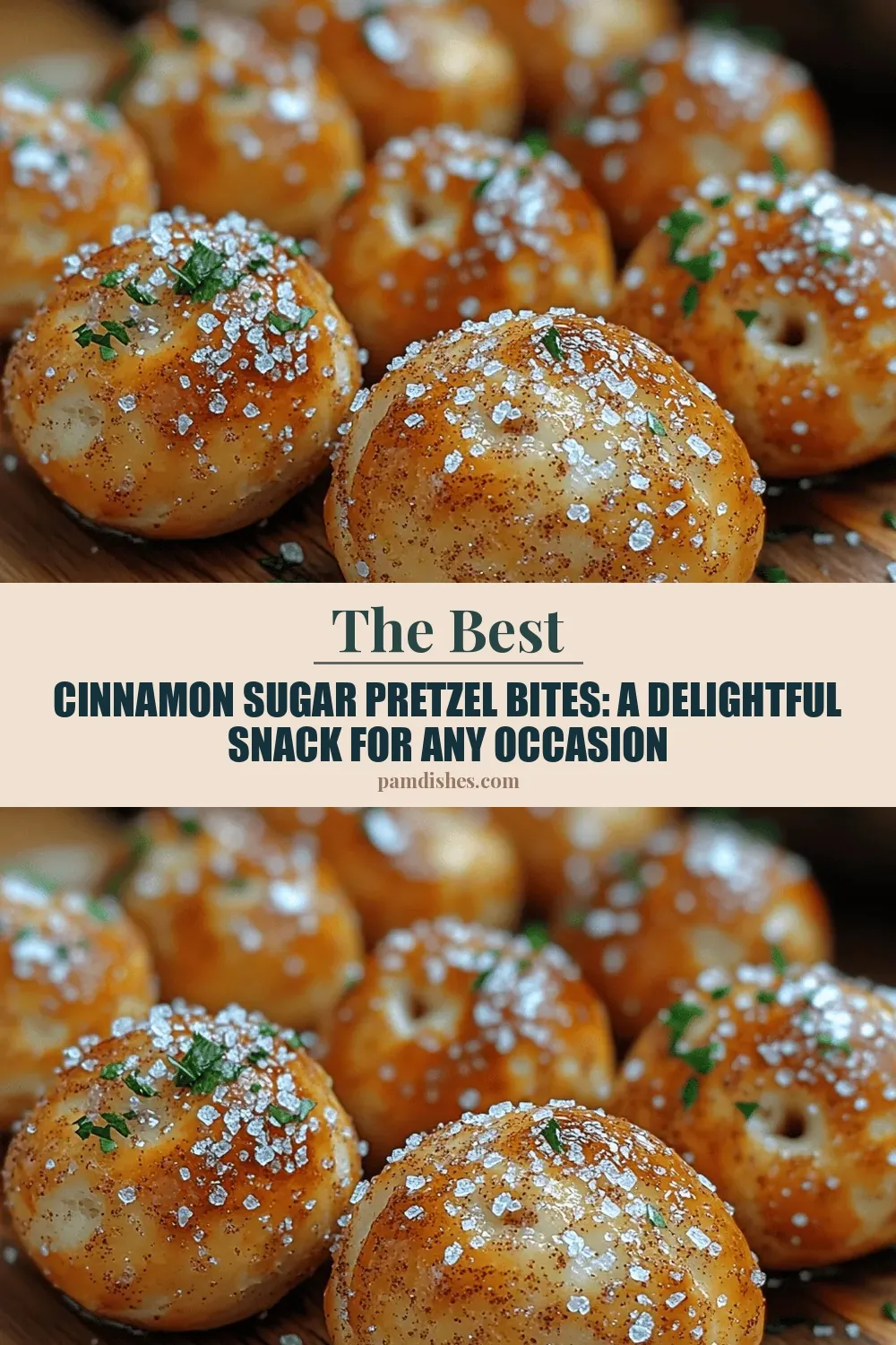 Cinnamon Sugar Pretzel Bites: A Delightful Snack for Any Occasion