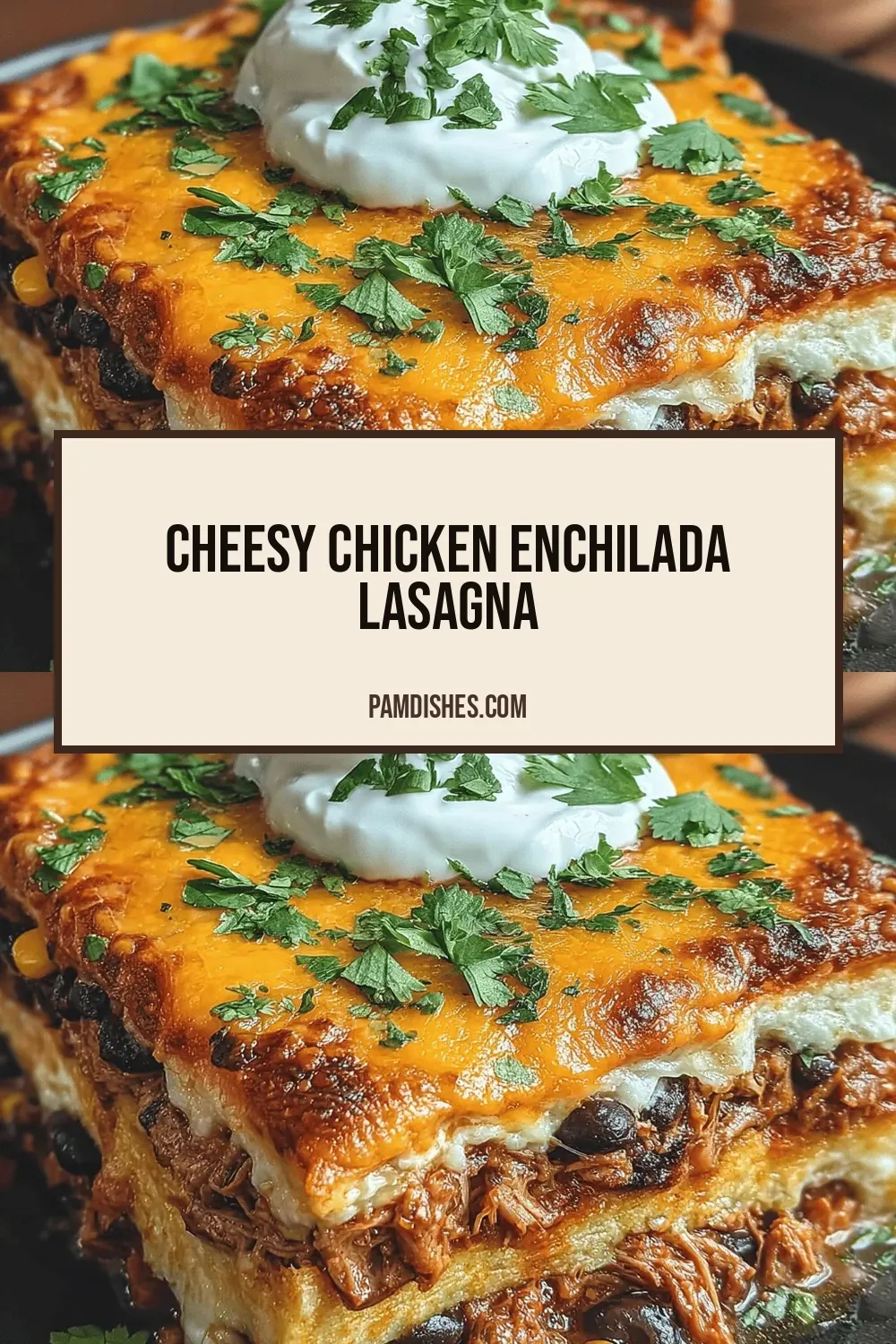 Cheesy Chicken Enchilada Lasagna
