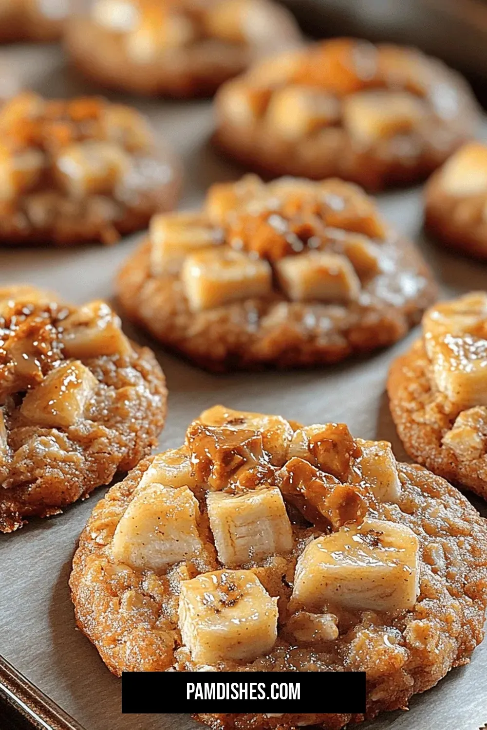 Chewy Delight Oatmeal Breakfast Cookies Recipe