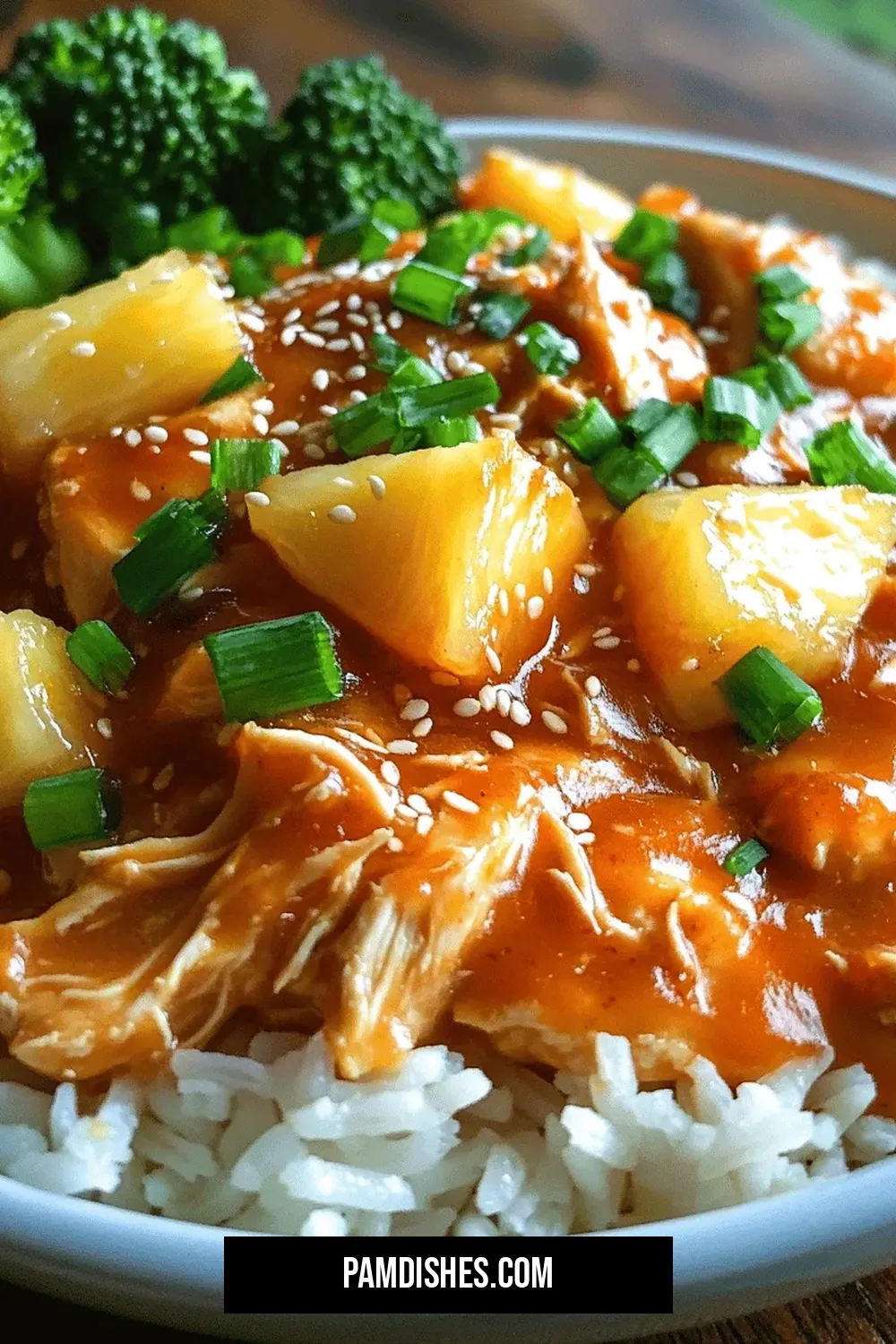 Sweet & Savory Slow Cooker Chicken Teriyaki