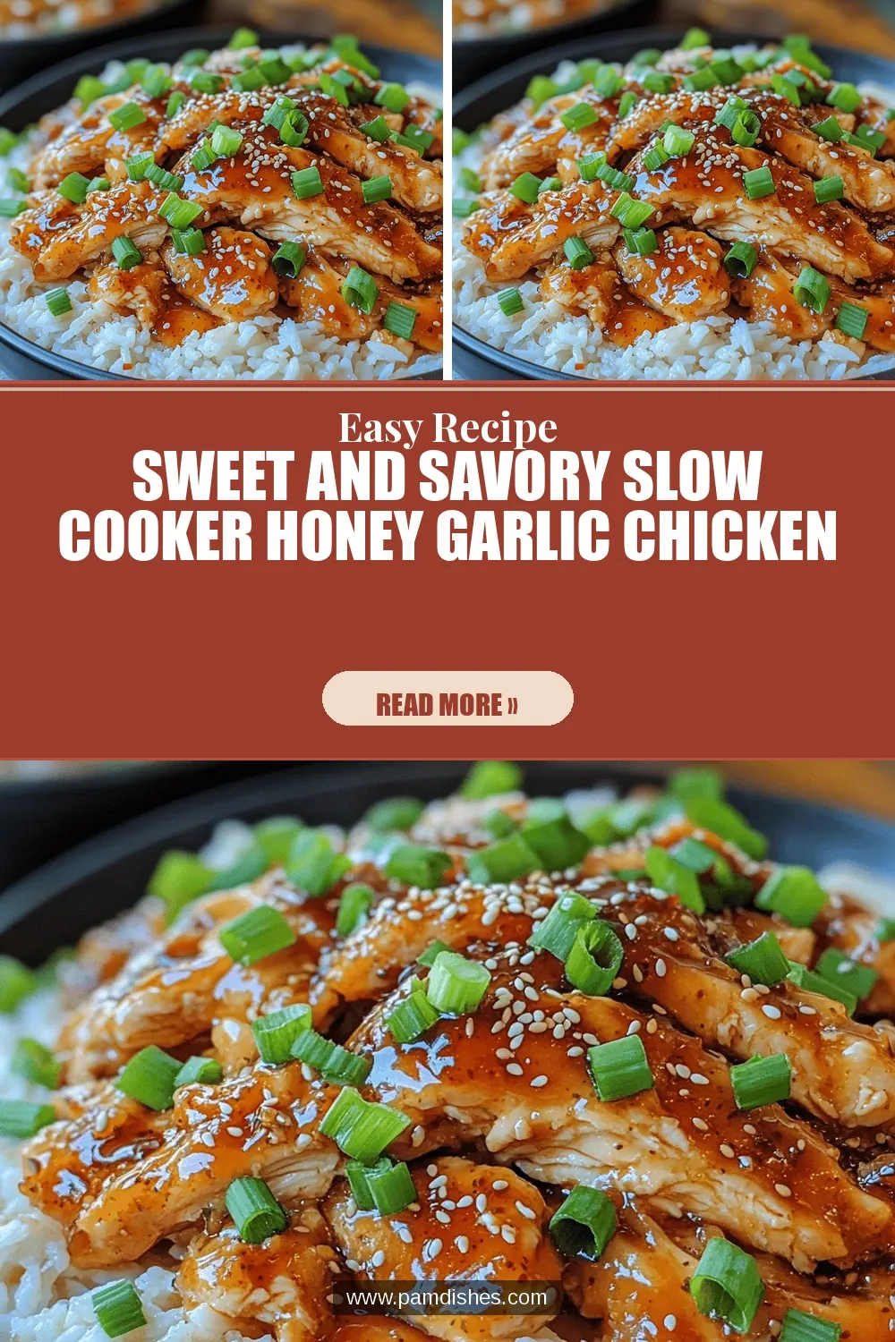Sweet and Savory Slow Cooker Honey Garlic Chicken