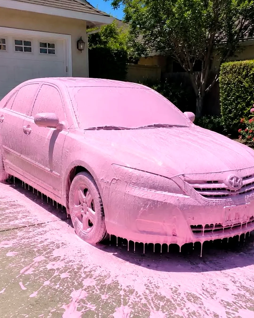 I Thought My Neighbor Was Crazy Until She Pink‑Painted My Car and Left a Threatening Note