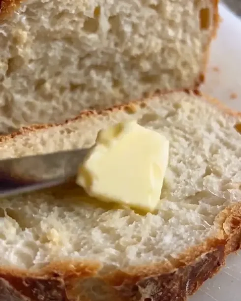 No-Knead Crusty Bread