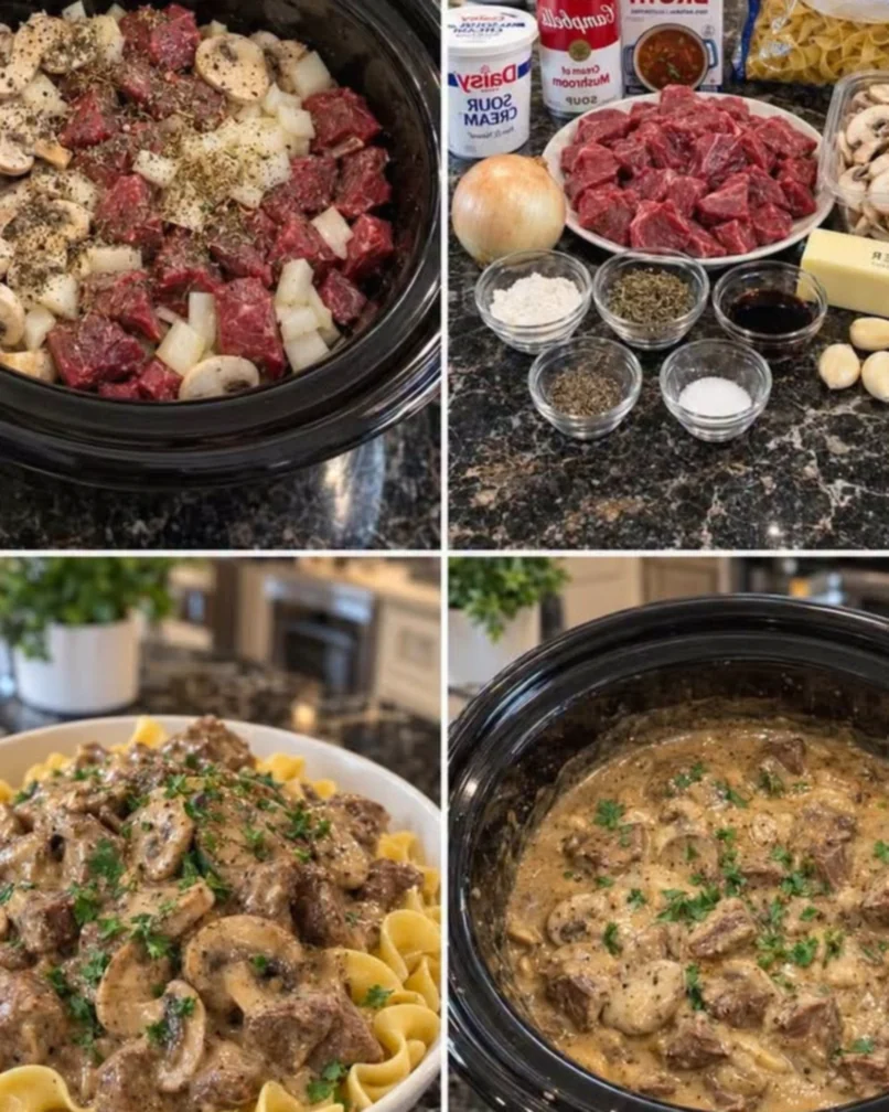 BEEF STROGANOFF OVER EGG NOODLES