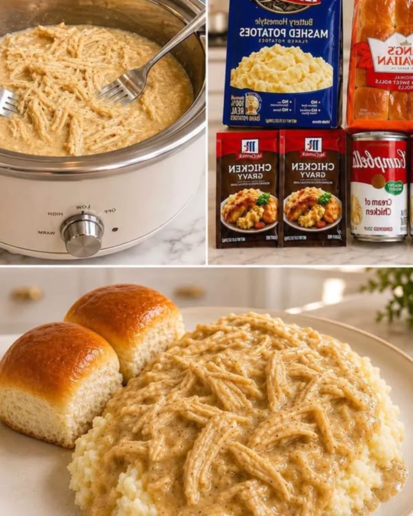 CHICKEN & GRAVY