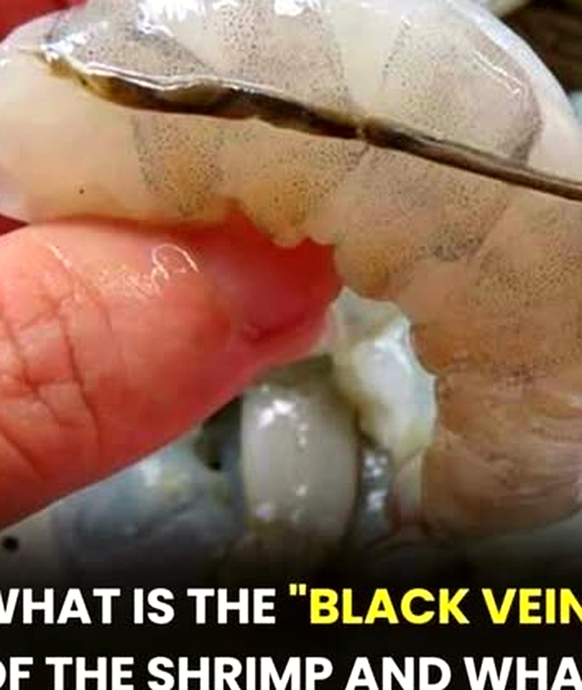 That Dark Line on Your Shrimp and 5 Other Everyday Kitchen & Home Truths Most People Get Wrong